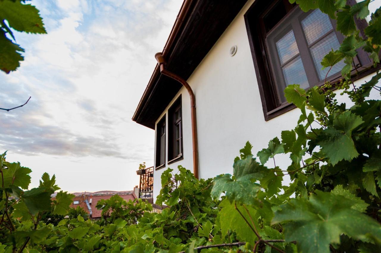 Apartment Zdravets, In The Heart Of The Old City Veliko Tarnovo Ngoại thất bức ảnh